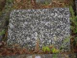 image of grave number 919840